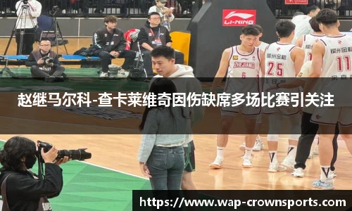 赵继马尔科-查卡莱维奇因伤缺席多场比赛引关注